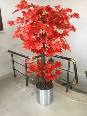 Cihan Çiçekçilik Kızıl Hazan Yaprak Çınar Ağacı 180 cm Metal Saksıda