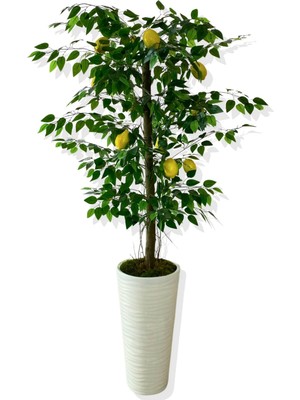 Cihan Çiçekçilik Yapay Ağaç Limon Ağacı 170 cm 56X30X20 Beyaz Kumsal Saksı