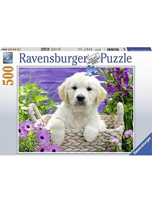 HBMB Store 500 Parça Yapboz Retriever