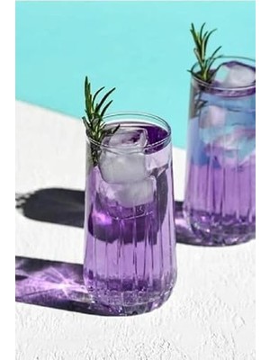 HBMB Store Su Meşrubat Bardak Set 12LI PBNOVA12