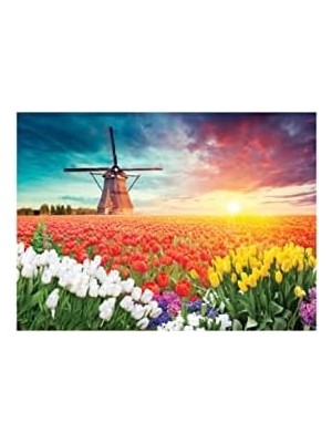 HBMB Store Blue Focus Tulıps And Wındmıll - Puzzle 1000 Parça