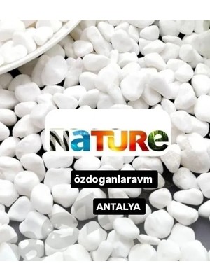 Peyzaj Saksı Bahçe  Dolomit Taş 2 kg