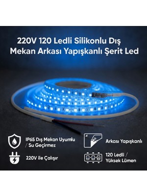 AC Aydınlatma 220V 120 LED Dış Mekan Şerit LED Mavi Işık Arkası Yapışkanlı Suya Dayanıklı Dekoratif Aydınlatma