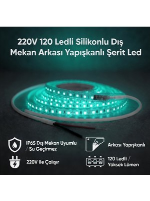AC Aydınlatma 220V 120 LED Dış Mekan Şerit LED Turkuaz Işık Arkası Yapışkanlı Suya Dayanıklı Dekoratif Aydınlatma