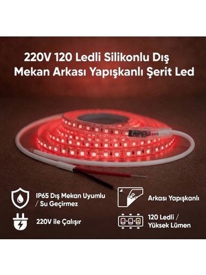 AC Aydınlatma 220V 120 LED Dış Mekan Şerit LED Kırmızı Işık Arkası Yapışkanlı Suya Dayanıklı Dekoratif Aydınlatma