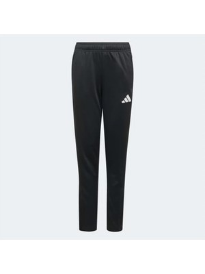 Adidas ENT26 Tr Pnt Y Eşofman Altı