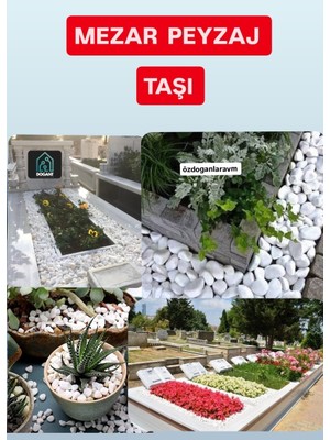 Dogant Dolomit Saksı Bahçe Mezar Dekor Dere Çakıl Taşı 2 kg