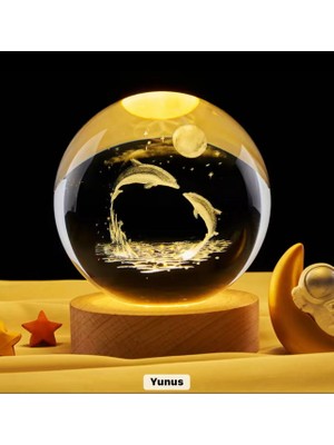 Sepetopia Yunus Küre