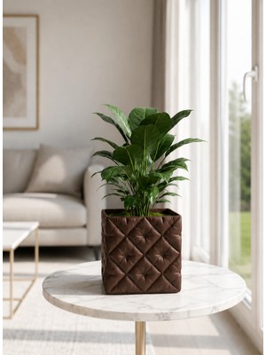Triora Design Triora Kapitone Model: Modern Ev Dekorasyon Saksı 15,5cm Yükseklik x 17CM Genişlik 3D Tasarım Pla
