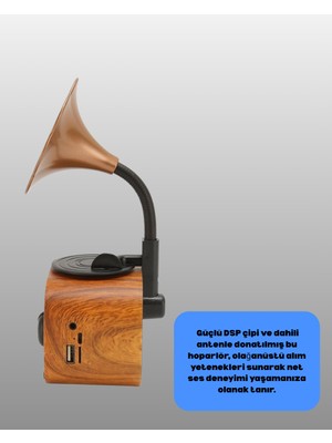 Sbusshop Kablosuz Retro Radyo Hoparlör 5W Güçlü Ses USB Hafıza Kart Destekli - SB001M-47ZAF3
