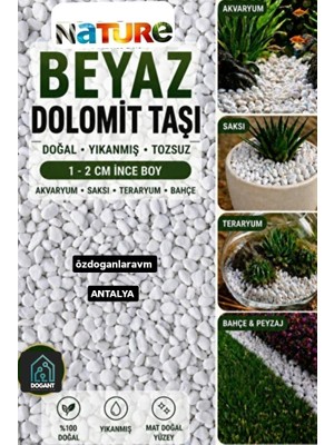 Dogant Beyaz Dolomit Taş 2 kg 1-2 cm Dere Çakıl Taşı Bahçe Peyzaj Süs Taşı Saksı Teraryum Akvaryum Taş