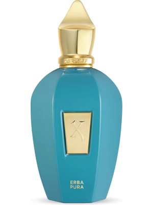 Xerjoff Vibe Collection Erba Pura Edp 100ML