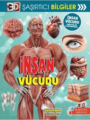 Lisinya 3D Şaşırtıcı Bilgiler - Insan Vücudu