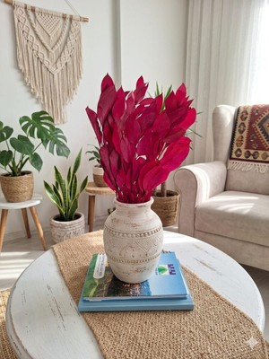 Birlik Ruskus Demeti  Şoklanmış  40-45 cm  5 Dal