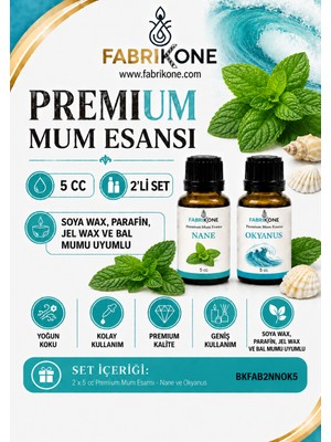 Fabrikone Premium Mum Esansı 5 cc 2'li Set - Nane, Okyanus - Soya Wax, Parafin, Jel Wax ve Bal Mumu Uyumlu BKFAB2NNOK5