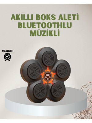 Bluetoothlu Akıllı Boks Antrenman Cihazı Işıklı Hedefli Kardiyo ve Fitness Aleti Nemere