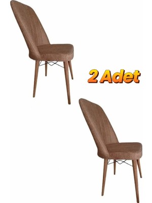 Rihan Mobilya 2 Adet Mutfak Salon Sandalye