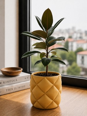 Triora Design Soft Model Saksı:rustik Saksı, Vintage Saksı, Kapitone Saksı 17CM Genişlik x 15CM Yükseklik Pla