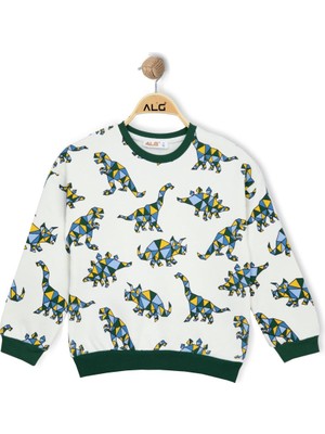 Alg ERKEK ÇOCUK RENKLİ DINOSAUR BASKILI SWEATSHIRT