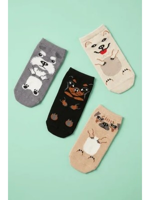 Bony Socks 4'lü Paket Hayvan Desenli Çocuk Step Çorap Çok Renkli