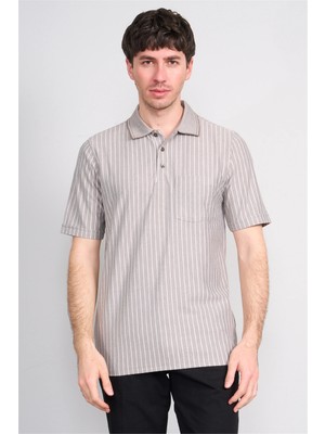 Çetinkaya Mentality 4594 Polo Yaka Regular Çizgili T-Shirt Vizon
