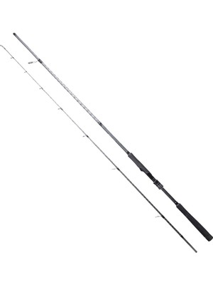 RYUJI ARES X 2.40M 9-45GR, 2P SPIN KAMIŞ