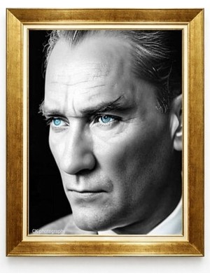 Atatürk Mavi Göz Detaylı Siyah Beyaz Tablo