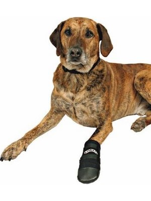 Hobibahçem Neopren Köpek Patiği 2 Adet Siyah Xxxl