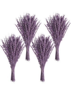 Nettenevime 4lü Set Kuru Lavanta Çiçeği Mor Şoklanmış Stabilize Bozulmaz Ithal Kalite Dökülmez Yoğun Kokuklu