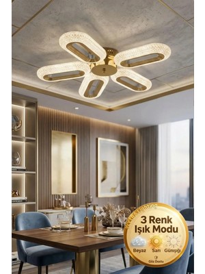 Elips Model 5"li Gold 3 Renk Modu Ledli Modern Tavana Sıfır Salon Mutfak Yatak Odası LED Avize
