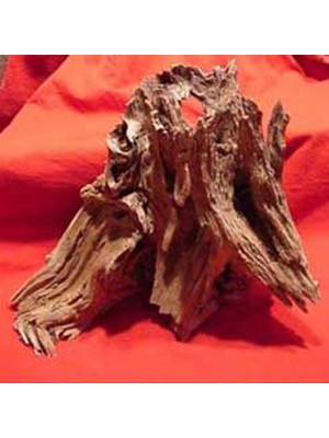 Mango Semeglbl Mangrove Akvaryum Kütüğü L (10 Ad.)