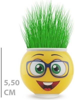 Hereveoyuncak Çim Adam Saksı Emoji Figürlüü 1 Adet