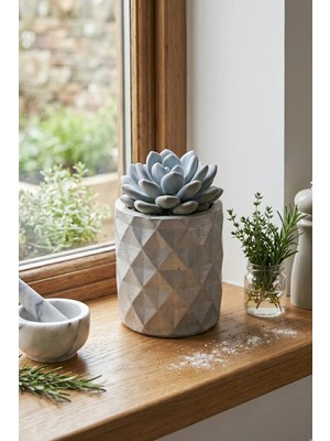 N Noxxo Gümüş Renk Dekoratif Beton Saksı - Mini Sukulent ve Kaktüs Saksısı 6X7CM