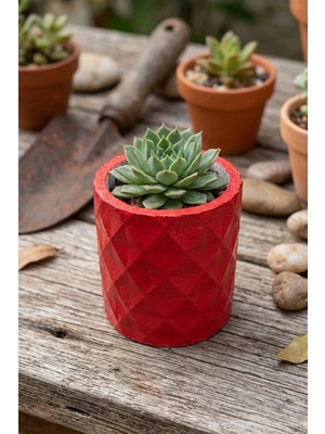 N Noxxo Kırmızı Beton Sukulent ve Kaktüs Saksısı Geometrik Desenli 6x7 cm