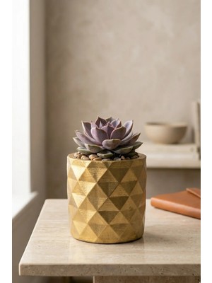 N Noxxo Mini Beton Saksı | Soft Gold Dekoratif Sukulent ve Kaktüs Saksısı