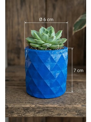 N Noxxo Mavi Beton Saksı - Dekoratif Mini Sukulent ve Kaktüs Saksısı 6X7CM