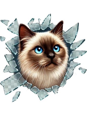 Ozcmax Fulcar Kedi Tasarımlı Arraç Stickerı