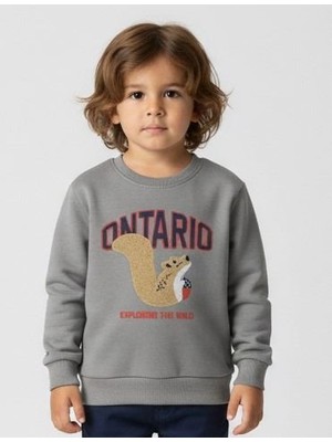 Alg ERKEK ÇOCUK SWEATSHIRT - 3 İP ŞARDONLU NAKIŞ İŞLEMELİ (Bir Beden Büyük Önerilir)