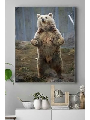 (PSTER15105) Ayı Hayvan Kanvas Tablo 3 21 x 30
