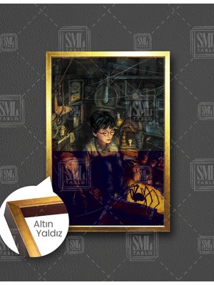 SML Tablo Harry Potter ve Sırlar Odası Merdiven Altı Oda Sihir Dünyası Film Dikey Çerçeveli Kanvas Tablo