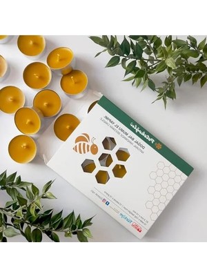 Hakay Petekoğlu (12 Adet) Tealight Doğal Petek Balmumu Mum Standart Boy Beeswax Candle          [enerji Sınıfı A+]