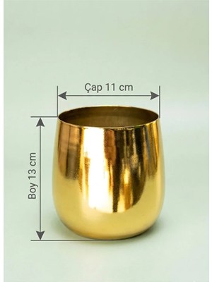Solvo Orkidelik Altın Metal Cezve Saksı 13 cm x 11 cm