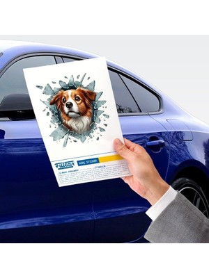 Fulcar 3D Avustralya Köpeği Araç Cam Stickeri, Kırık Cam Efektli, Dekoratif