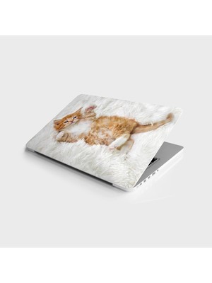 Laptop Bilgisayar Notebook Pc Kaplama Etiketi Şirin Kedi