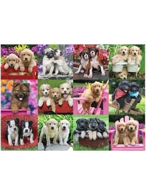 500 Parça Puzzle Köpek Yavruları