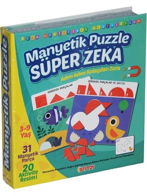 Manyetik Puzzle Süper Zeka Oyunu