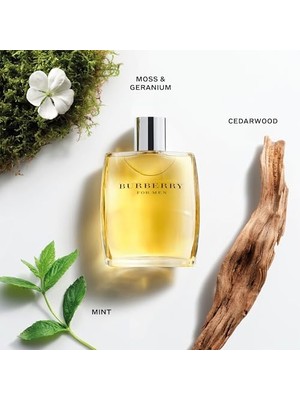 Burberry Edt 100 ml Erkek Parfüm