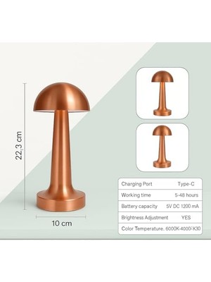 Elektrikürünleri Şarjlı Dokunmatik Masa Lambası Rose | 3 Renk Modu | Dimmerli Taşınabilir Şarjlı Lamba | USB Şarjlı Cafe Restoran Masa Lambası | Şık ve Kompakt Tasarım