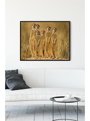 (PSTER12357) Mirketler Eğlenceli Mizahi Çerçeveli Tablo (30 x 40CM)