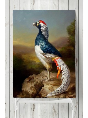 (PSTER5888) Kuş Sanatsal Poster 80X115CM
